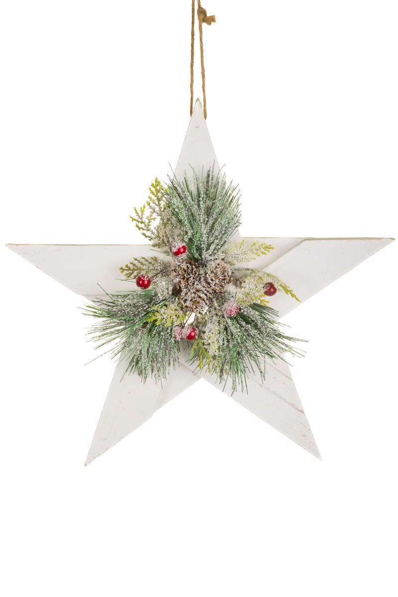White Star Hanging Accent