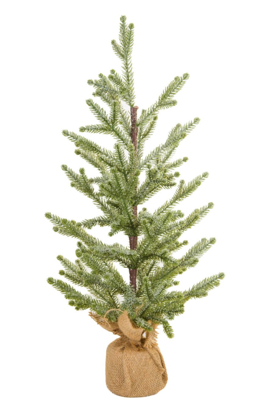 Frosted Green Christmas Tree with Frosted Branches