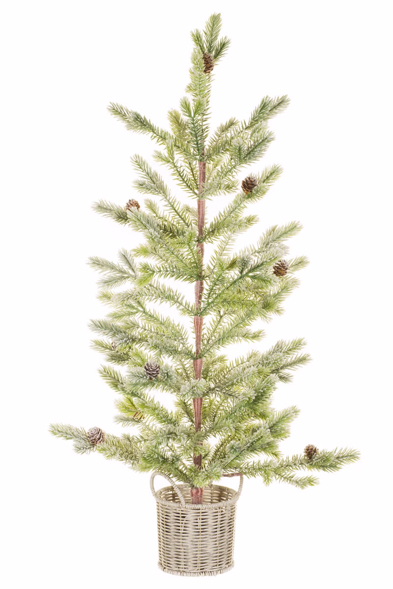 Green Grand Fir Table Top Tree