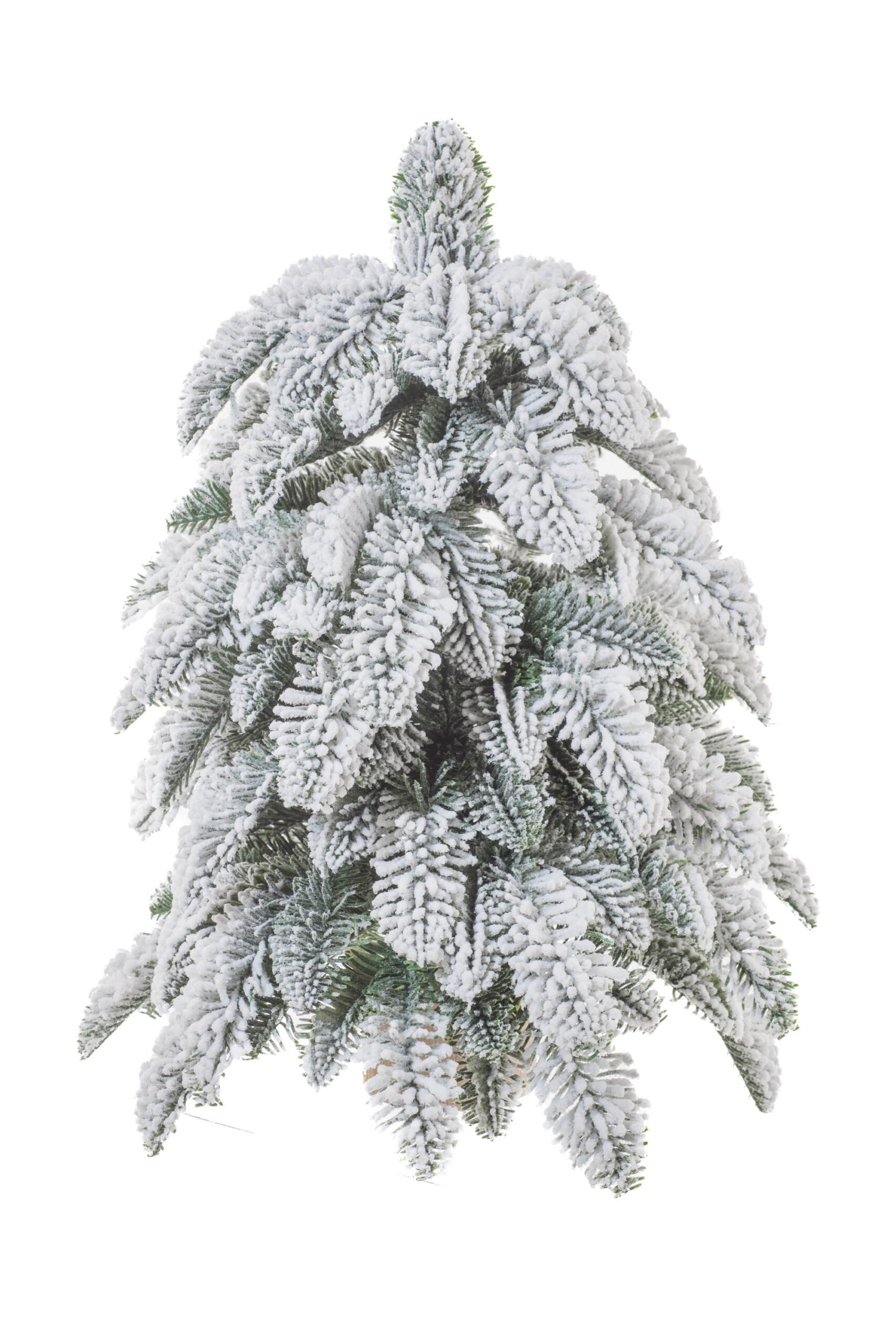 White/Green PE Weeping Frosted Evergreen Table Top Tree with Wooden Base