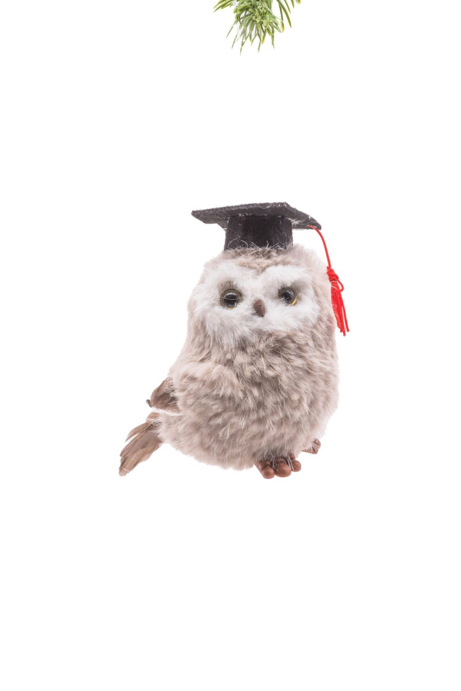 Grey Cloth Sitting Wise Owl with Graduate Cap