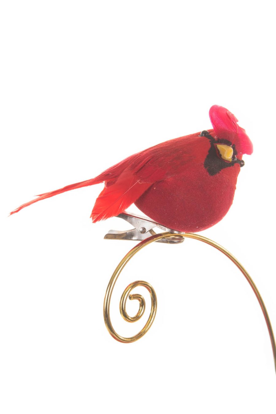 Grumpy Perched Red Clip-on Cardinal Ornament