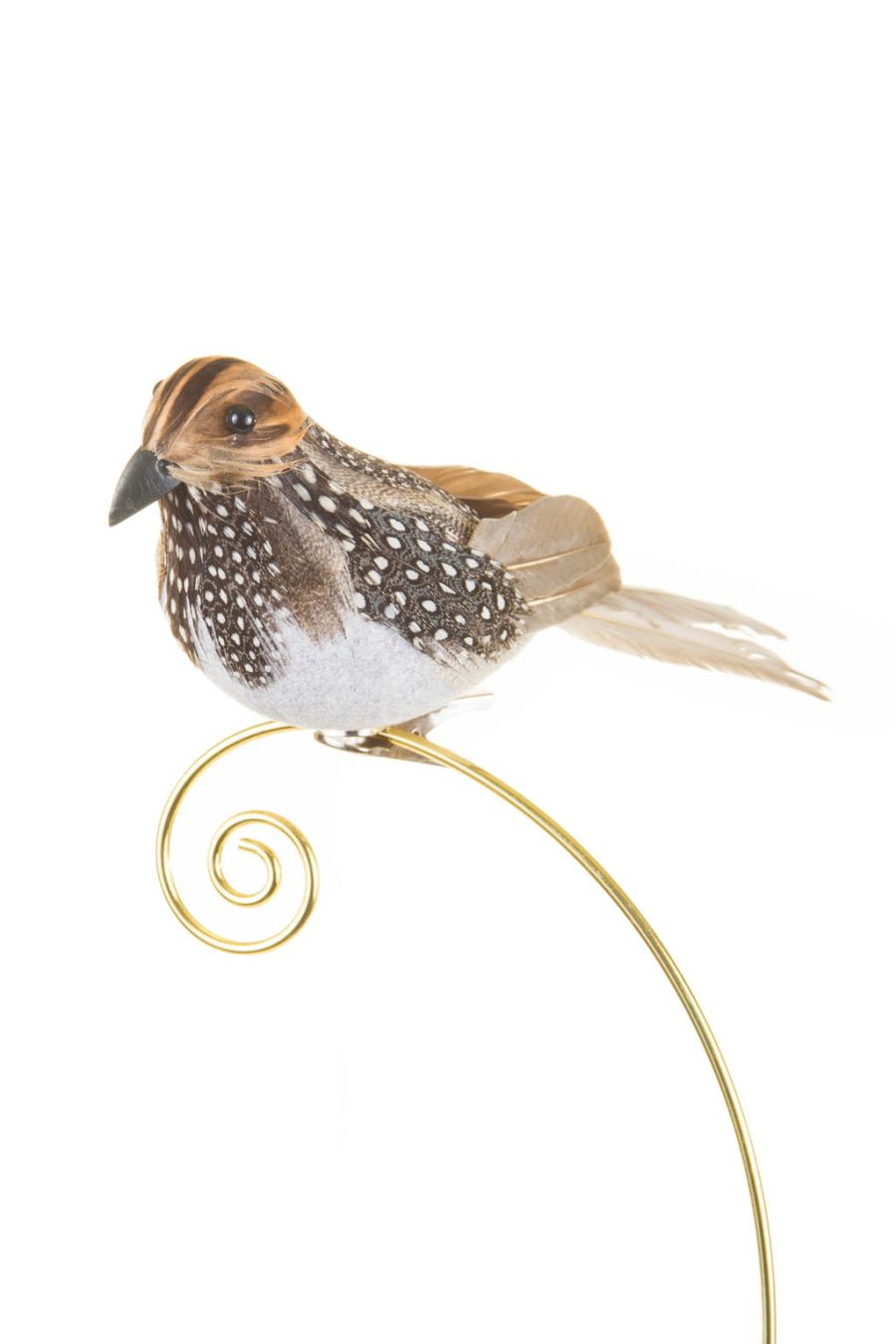 Chipper Perched Brown Dotted Feather Clip-on Bird Ornament