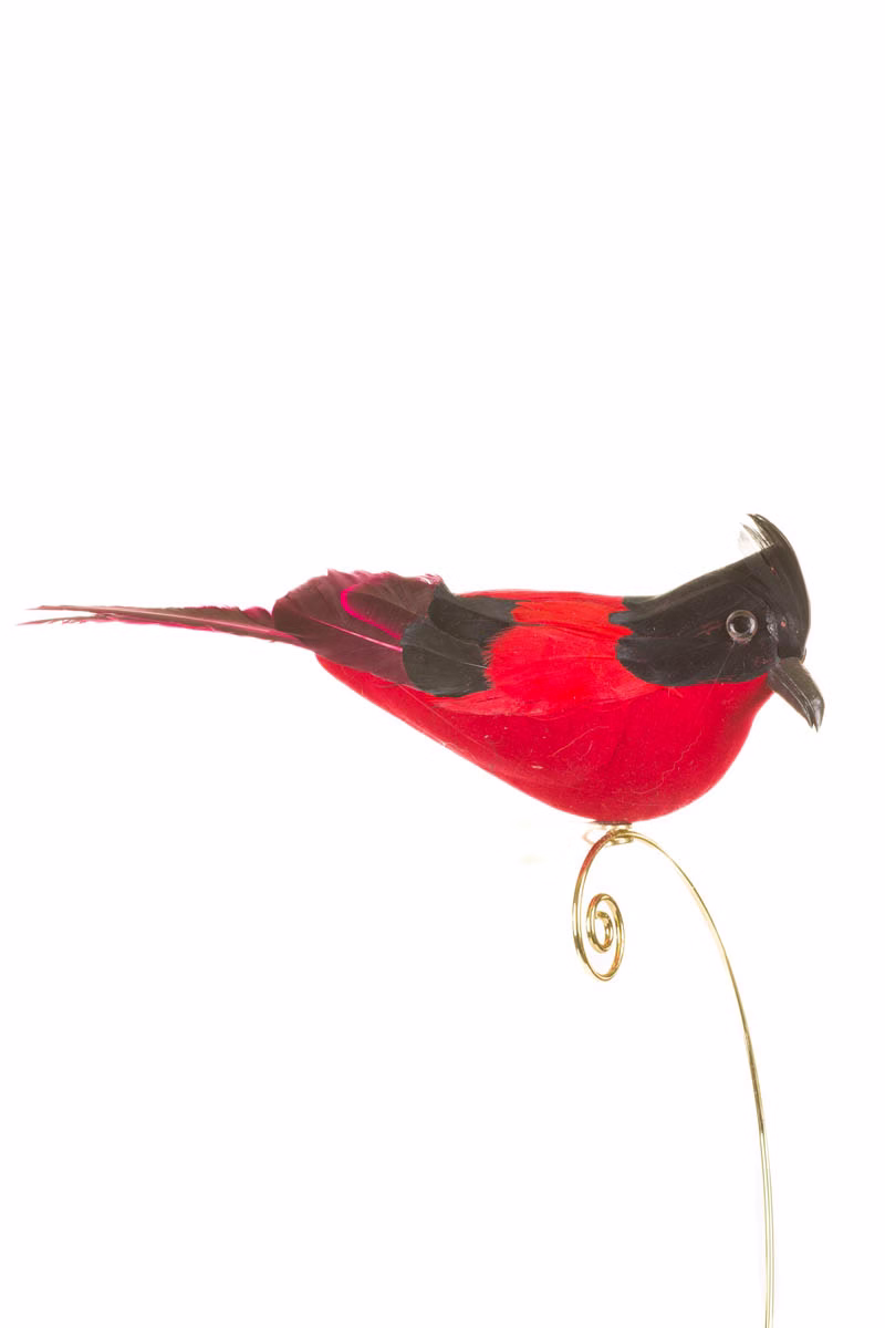 Red Bird Ornament