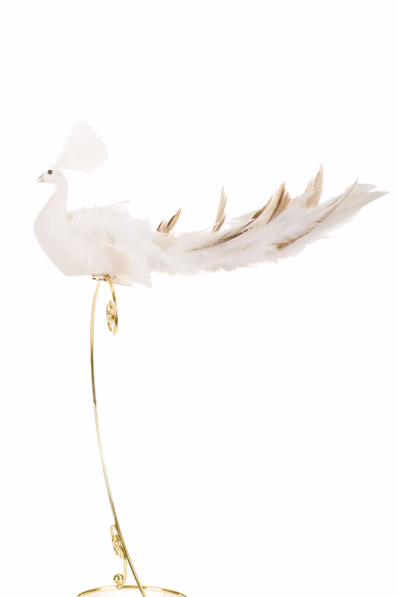 Clip-On White Peacock