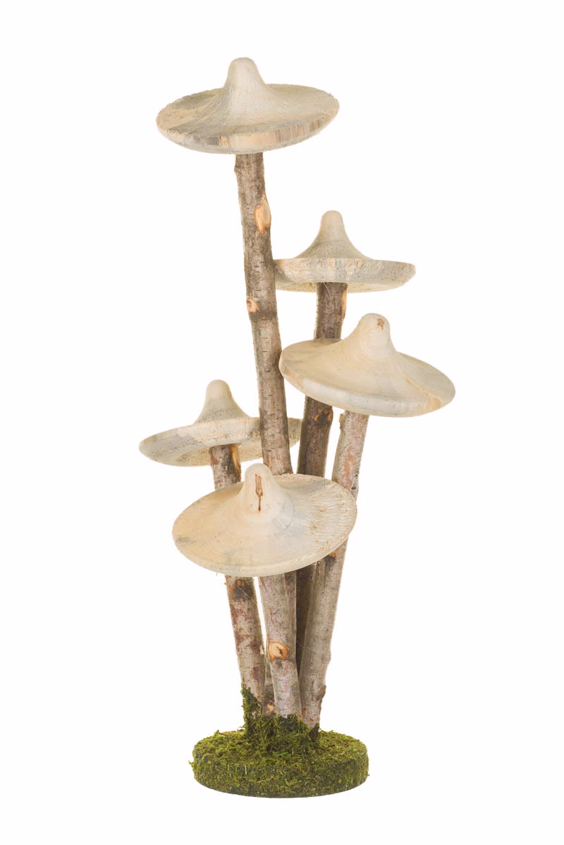 White Dunce Cap Mushroom