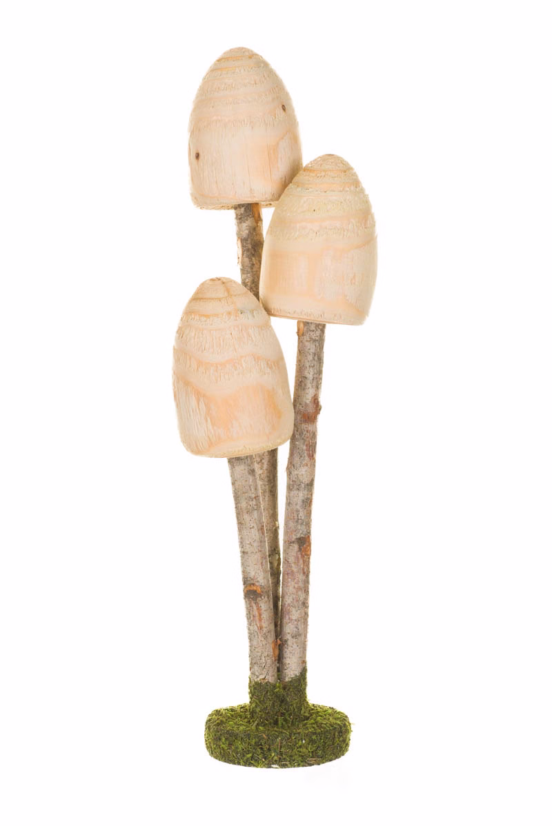 Beige Shaggy Mane Mushroom