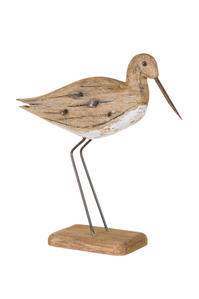 Umber Sandpiper Bird
