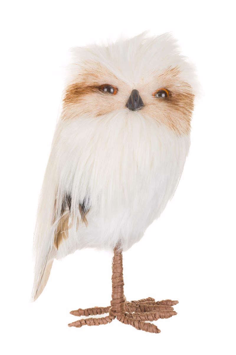 Cream Owl