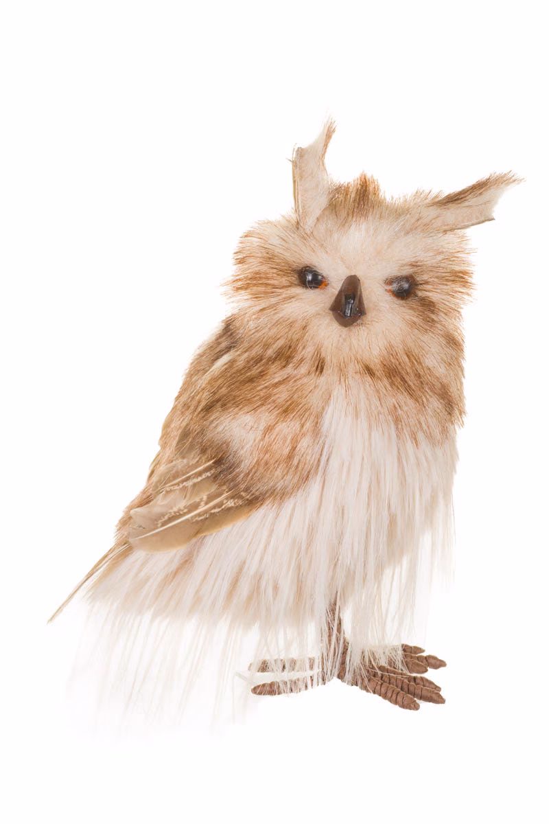 Brown Great Horned Owl