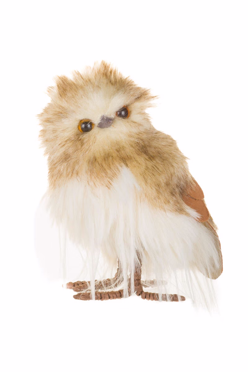 Brown Great Horned Owl Chick