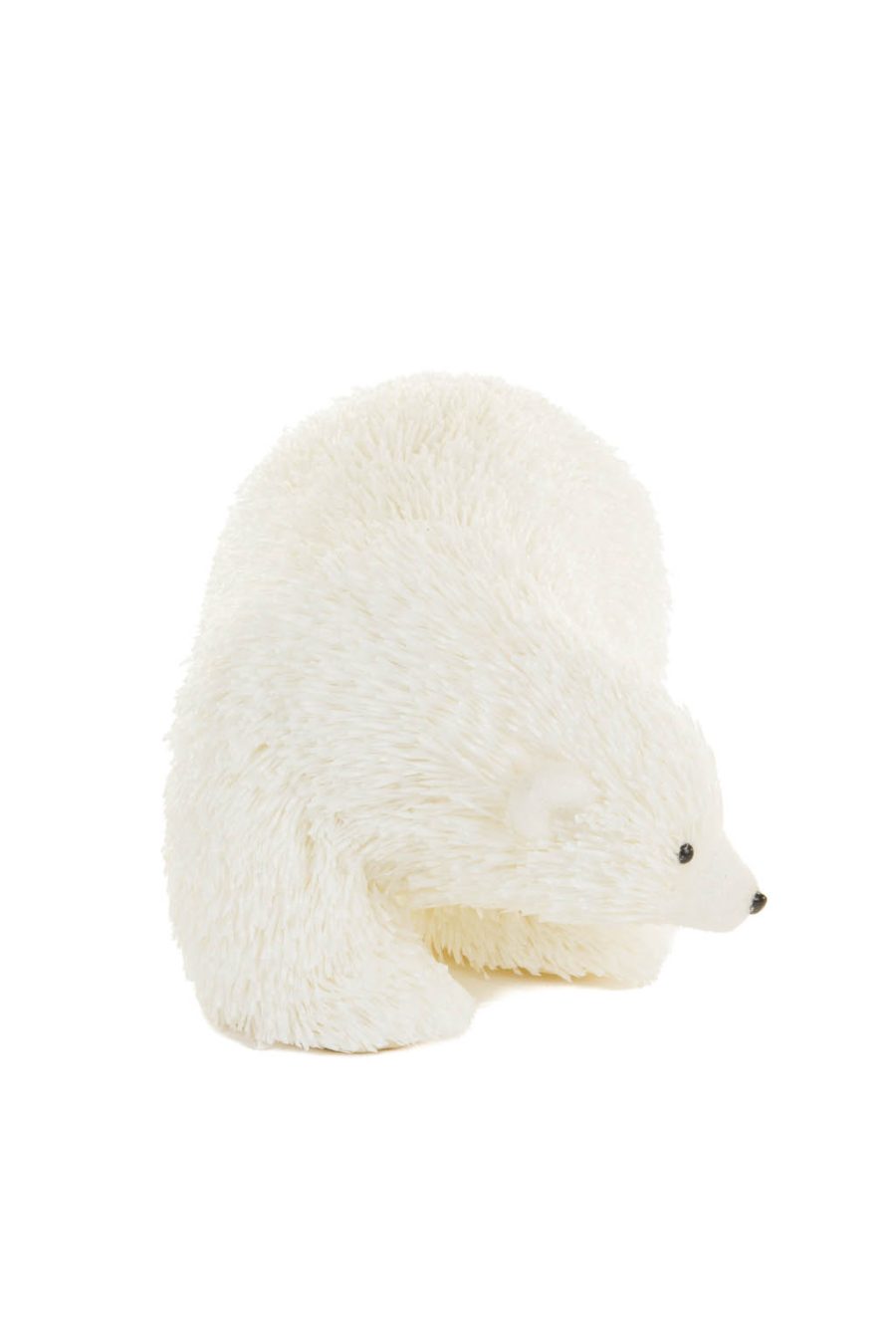 White Curious Polar Bear