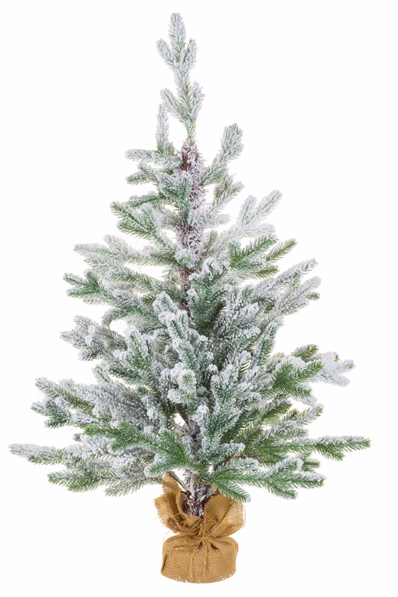 White Norway Spruce Table Top Tree