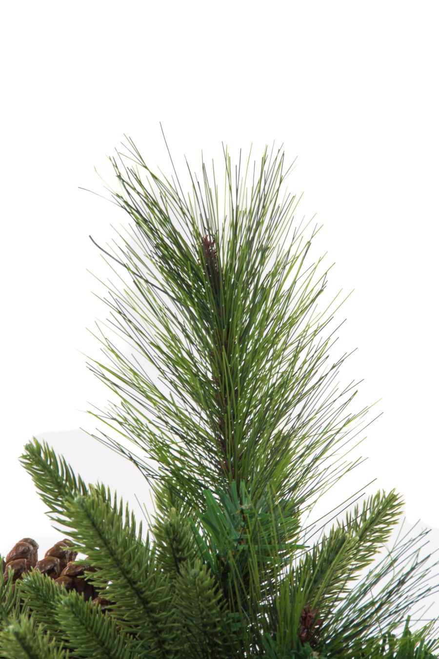 Ct2487 3 1 Scaled 1.jpg