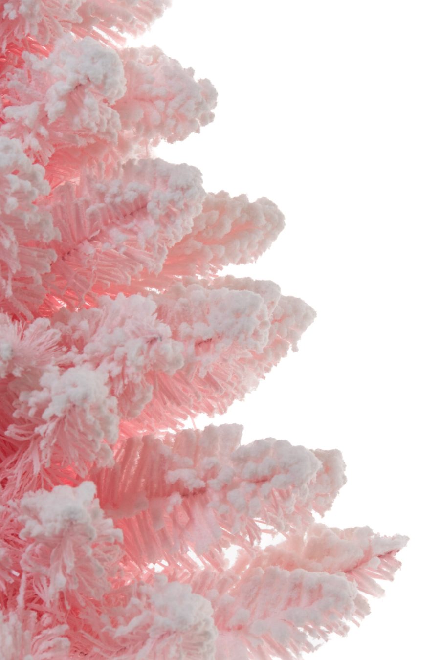 Ct2490p 3 1 Scaled 1.jpg