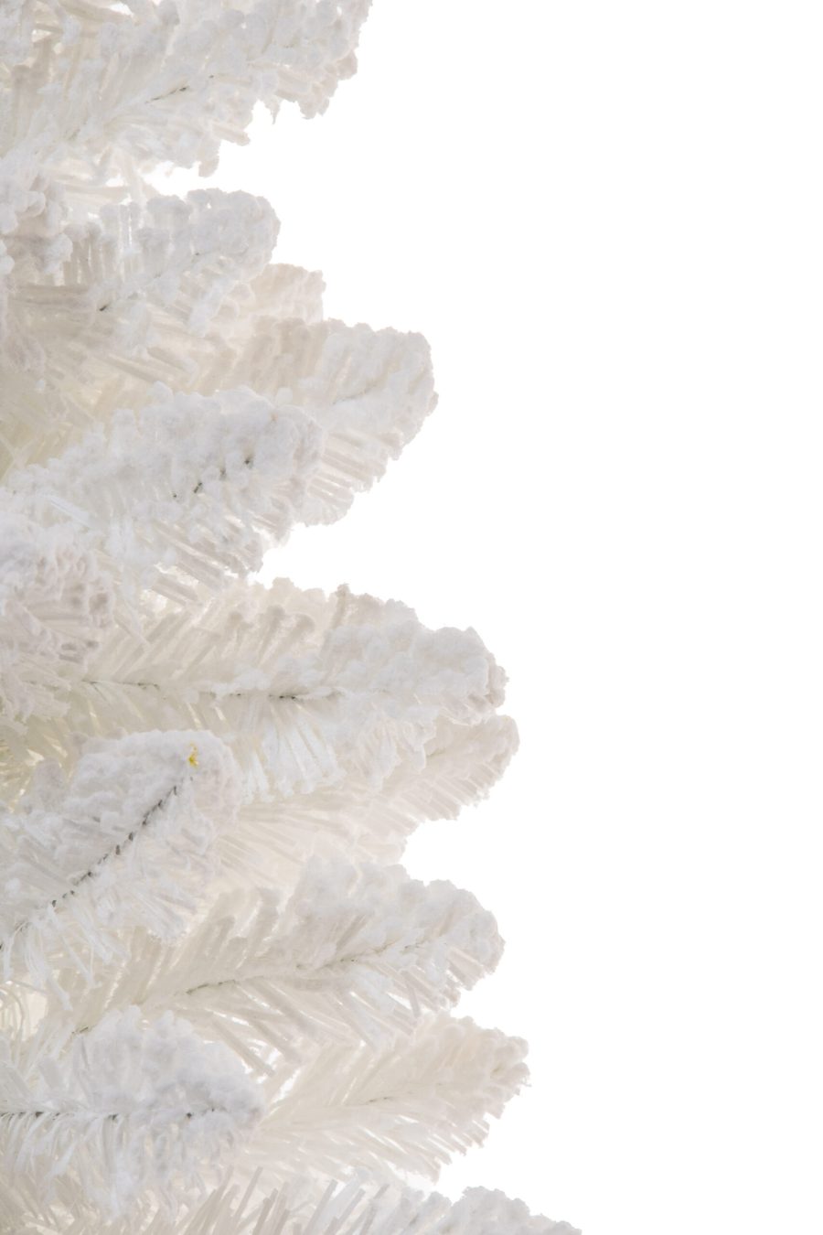 Ct2490w 3 1 Scaled 1.jpg