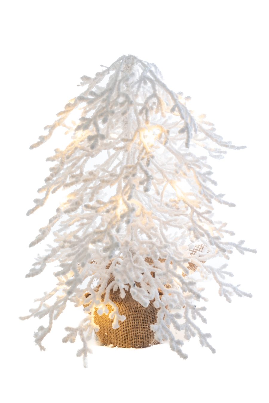 Ct2493w 02 Scaled 1.jpg