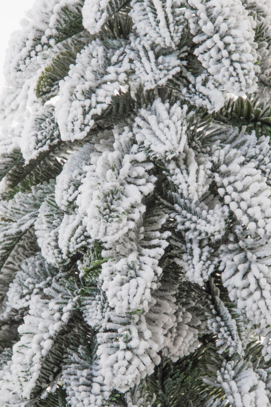 Ct4884sn 1 1 Scaled 1.jpg