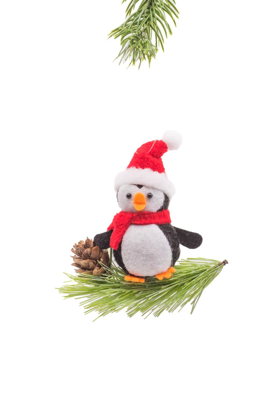 Dk3271 1 Scaled 1.jpg