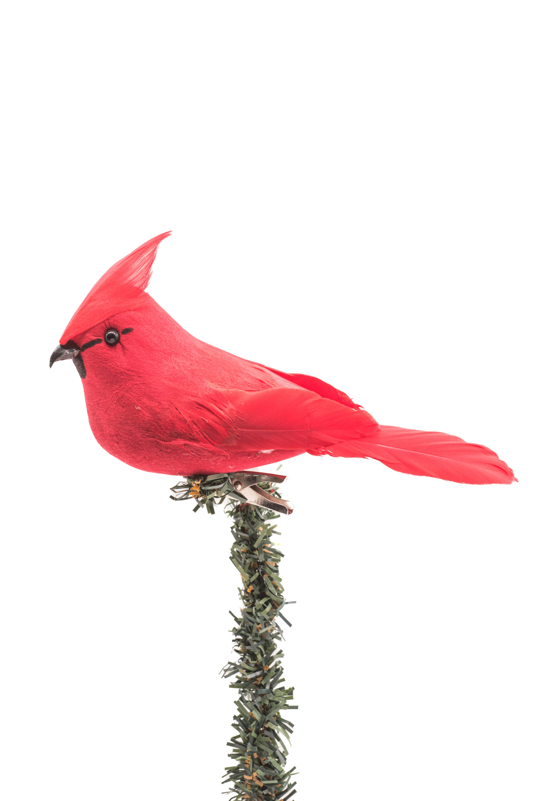 Dk3370 1 Scaled 1.jpg