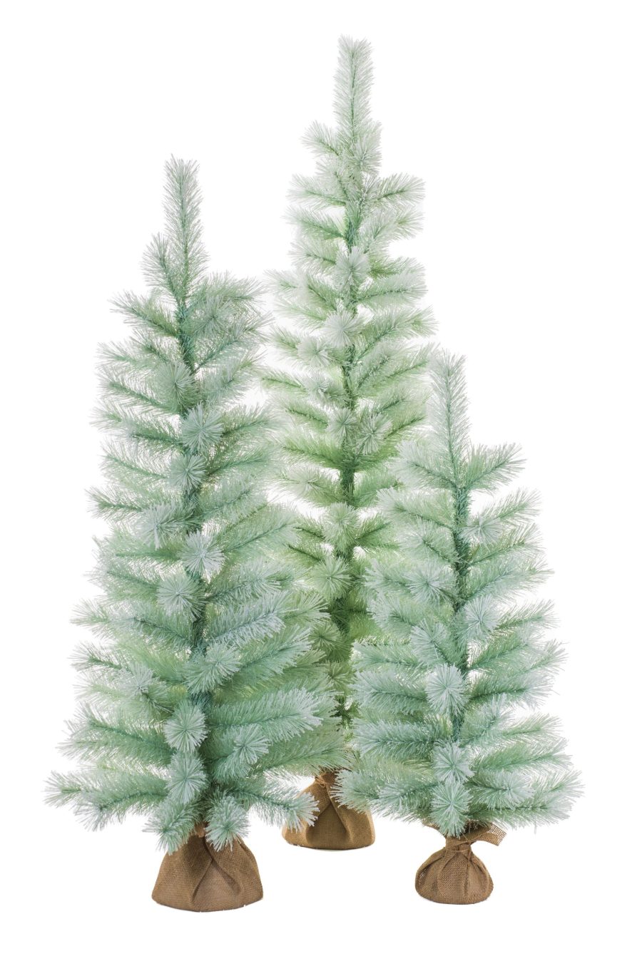 T8485gr Set3 1 Scaled 1.jpg