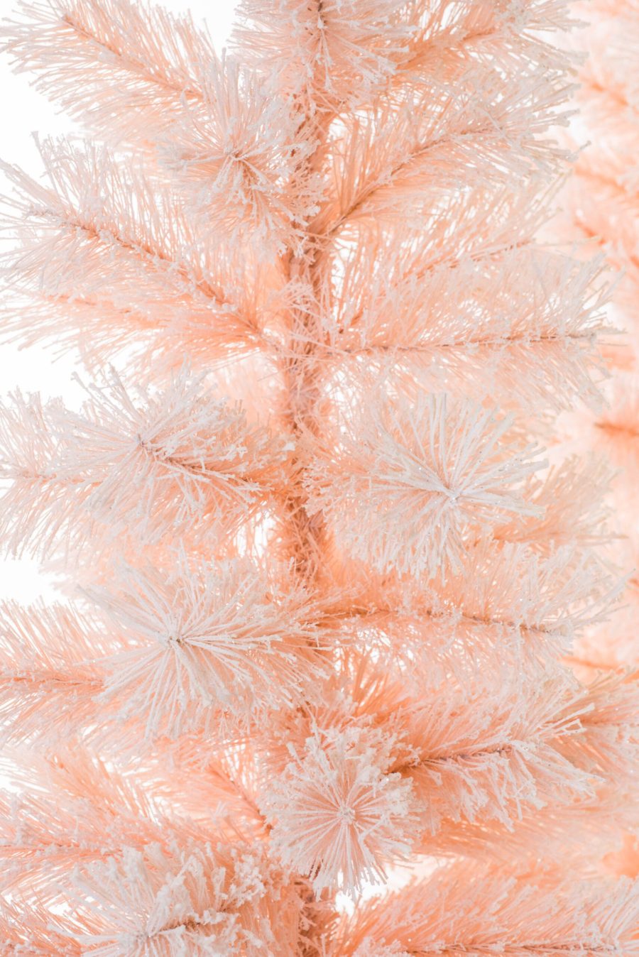 T8486p 1 Scaled 1.jpg